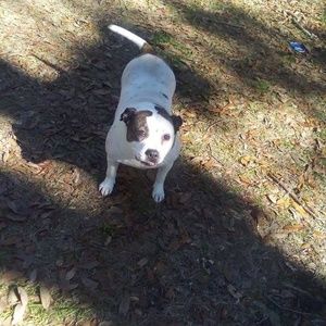 Meet your Posher, Stacey